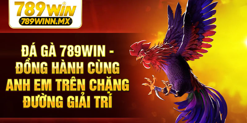 Đá gà 789Win - Đồng hành cùng anh em trên chặng đường giải trí