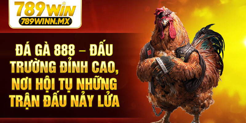 Đá Gà 888 – Đấu trường đỉnh cao, nơi hội tụ những trận đấu nảy lửa
