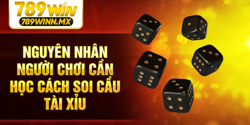 Nguyên nhân người chơi cần học cách soi cầu Tài xỉu