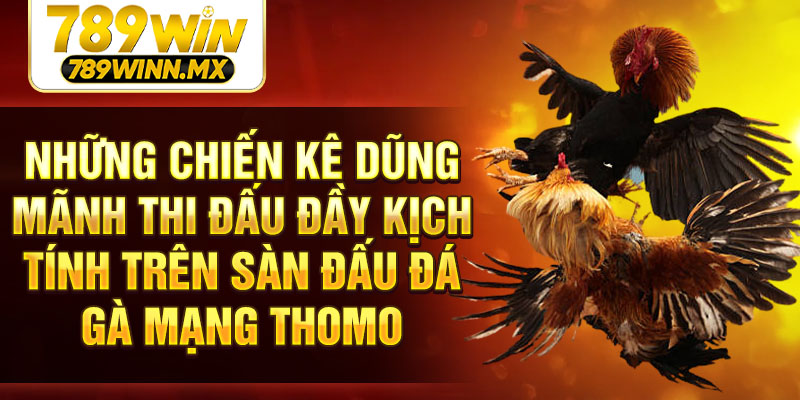 Những chiến kê dũng mãnh thi đấu đầy kịch tính trên sàn đấu đá gà mạng thomo