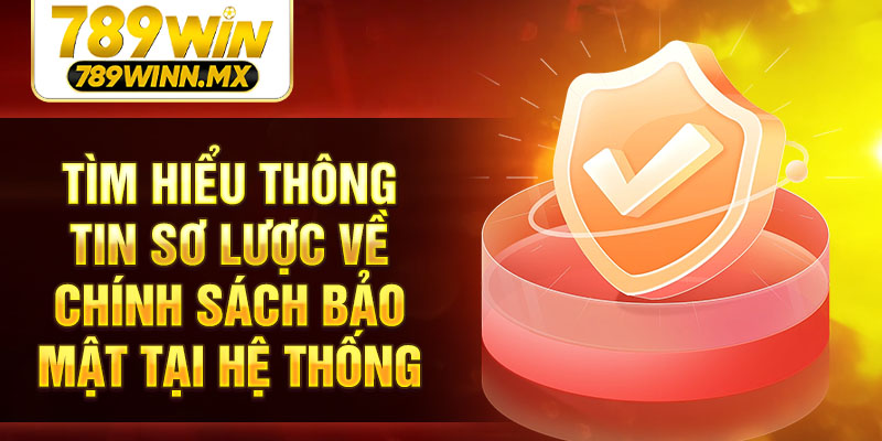 Tìm hiểu thông tin sơ lược về chính sách bảo mật tại hệ thống