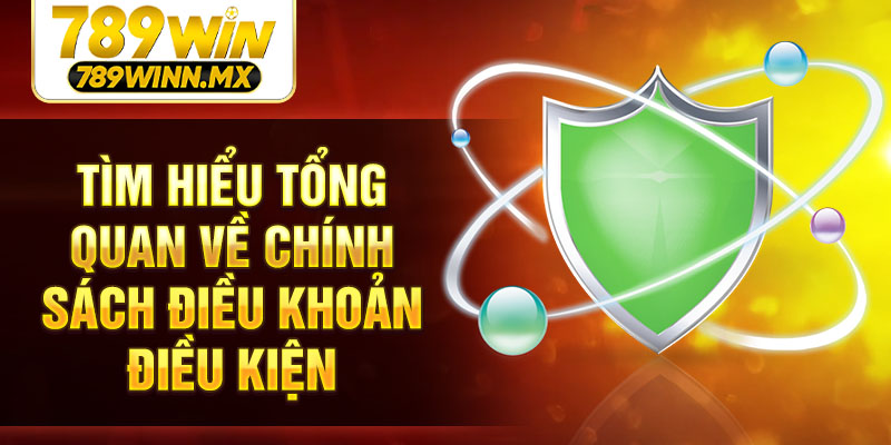 Tìm hiểu tổng quan về chính sách điều khoản điều kiện