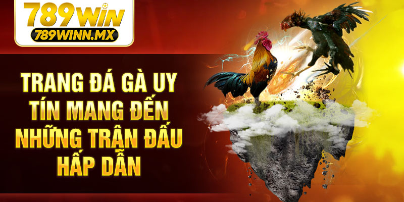 Trang đá gà uy tín mang đến những trận đấu hấp dẫn