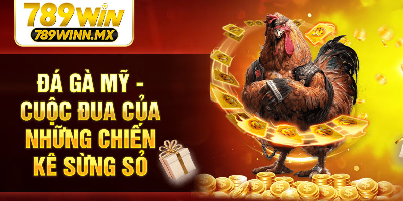 Đá gà Mỹ - Cuộc đua của những chiến kê sừng sỏ