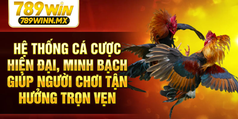 Hệ thống cá cược hiện đại, minh bạch giúp người chơi tận hưởng trọn vẹn