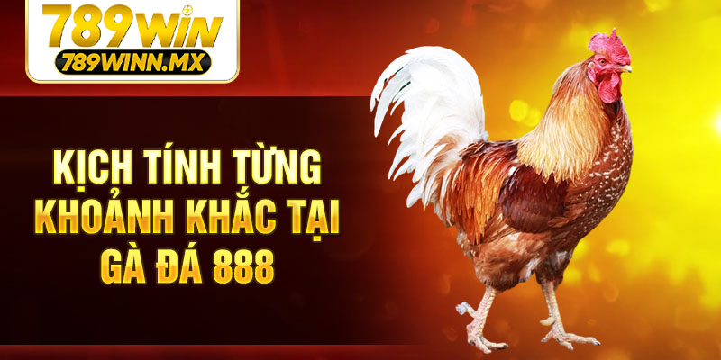 Kịch tính từng khoảnh khắc tại gà đá 888