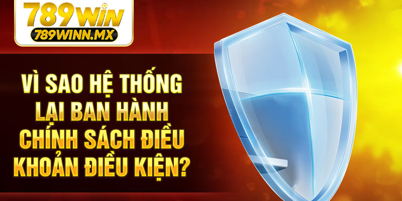 Vì sao hệ thống lại ban hành chính sách điều khoản điều kiện?