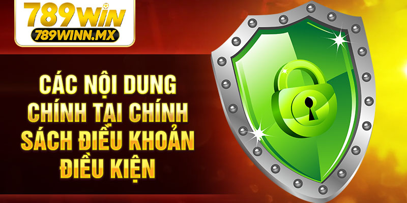 Các nội dung chính tại chính sách điều khoản điều kiện