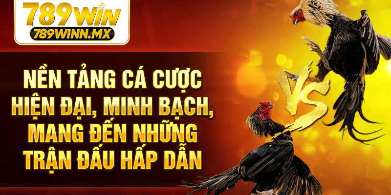 Nền tảng cá cược hiện đại, minh bạch, mang đến những trận đấu hấp dẫn