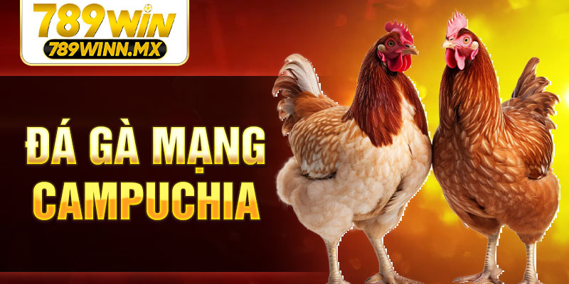da-ga-mang-campuchia