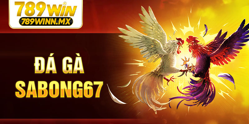 da-ga-sabong67