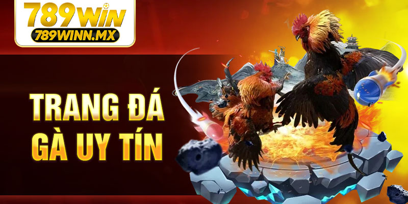 trang-da-ga-uy-tin